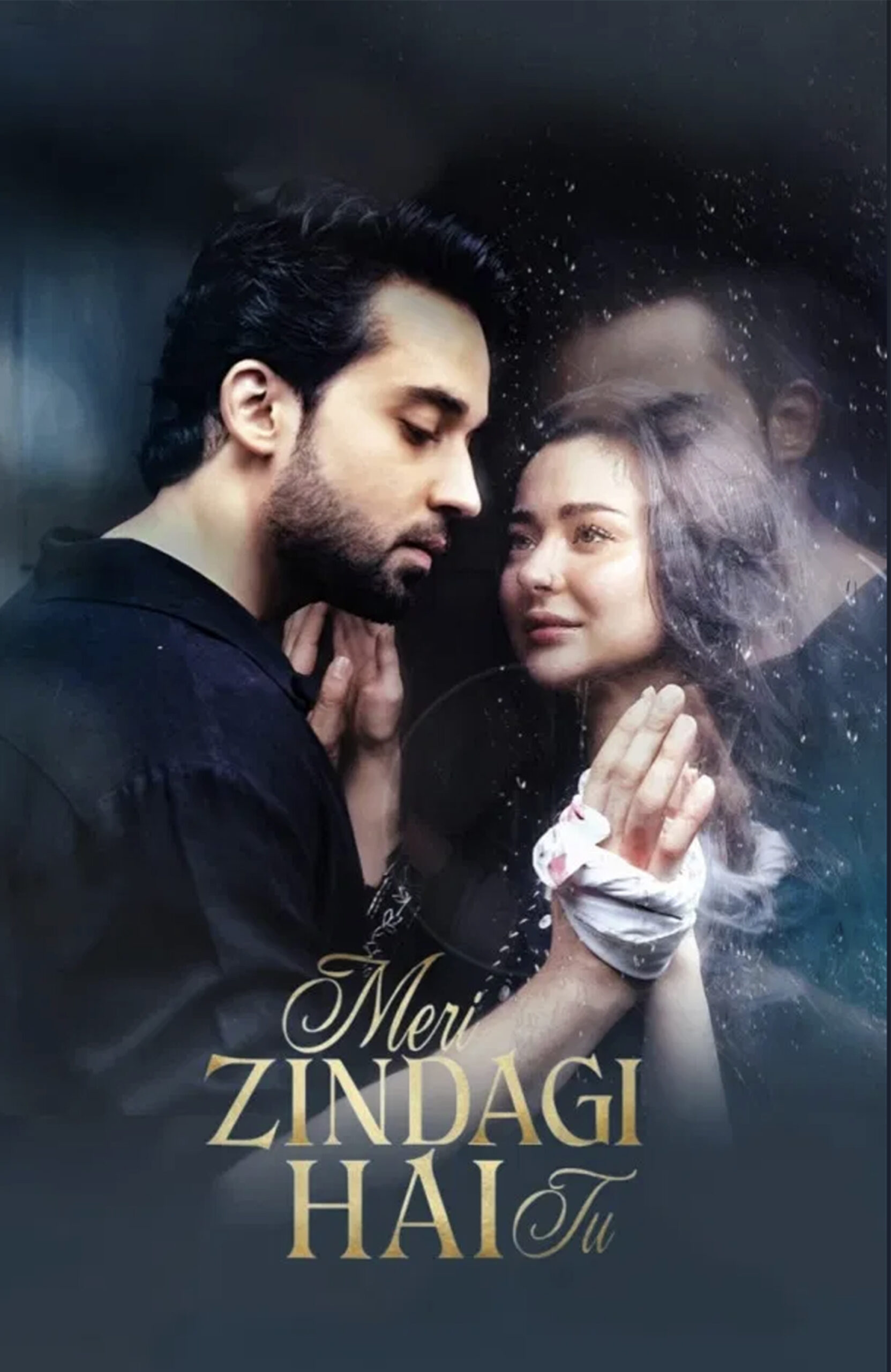 Meri Zindagi Hai Tu